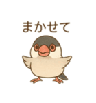 いろいろ桜文鳥のスタンプ（個別スタンプ：8）