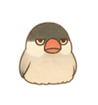 いろいろ桜文鳥のスタンプ（個別スタンプ：9）