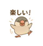 いろいろ桜文鳥のスタンプ（個別スタンプ：14）