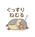 いろいろ桜文鳥のスタンプ（個別スタンプ：17）