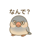 いろいろ桜文鳥のスタンプ（個別スタンプ：18）