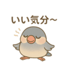 いろいろ桜文鳥のスタンプ（個別スタンプ：19）