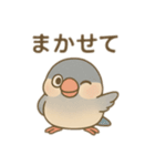 いろいろ桜文鳥のスタンプ（個別スタンプ：20）
