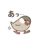 いろいろ桜文鳥のスタンプ（個別スタンプ：21）