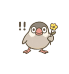 いろいろ桜文鳥のスタンプ（個別スタンプ：22）