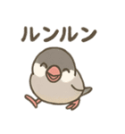 いろいろ桜文鳥のスタンプ（個別スタンプ：24）