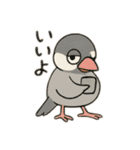 いろいろ桜文鳥のスタンプ（個別スタンプ：29）