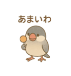 いろいろ桜文鳥のスタンプ（個別スタンプ：38）