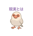 いろいろ桜文鳥のスタンプ（個別スタンプ：39）