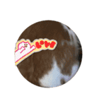 スペシャルです。うさぎのフッくん（個別スタンプ：14）