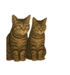 ハッピー＆ラッキースタンプ(=^ェ^=) ⑮（個別スタンプ：17）