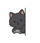 ぽっちゃり猫スタンプアレンジ用（個別スタンプ：1）
