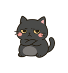 ぽっちゃり猫スタンプアレンジ用（個別スタンプ：6）