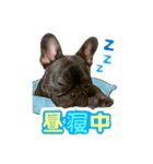 ボニーの夏（個別スタンプ：8）