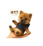 豆柴ももさく（Puppy+）（個別スタンプ：3）