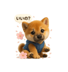 豆柴ももさく（Puppy+）（個別スタンプ：5）