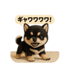 豆柴ももさく（Puppy+）（個別スタンプ：16）