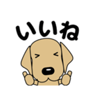 大きな文字 気づかい 犬好きさんへ 修正版（個別スタンプ：1）