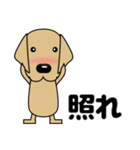 大きな文字 気づかい 犬好きさんへ 修正版（個別スタンプ：3）