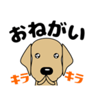 大きな文字 気づかい 犬好きさんへ 修正版（個別スタンプ：5）