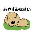 大きな文字 気づかい 犬好きさんへ 修正版（個別スタンプ：6）