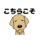 大きな文字 気づかい 犬好きさんへ 修正版（個別スタンプ：11）