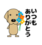 大きな文字 気づかい 犬好きさんへ 修正版（個別スタンプ：12）
