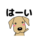 大きな文字 気づかい 犬好きさんへ 修正版（個別スタンプ：14）