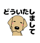 大きな文字 気づかい 犬好きさんへ 修正版（個別スタンプ：15）