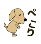 大きな文字 気づかい 犬好きさんへ 修正版（個別スタンプ：17）