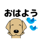 大きな文字 気づかい 犬好きさんへ 修正版（個別スタンプ：18）
