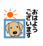 大きな文字 気づかい 犬好きさんへ 修正版（個別スタンプ：19）