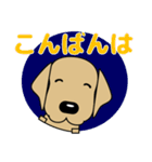 大きな文字 気づかい 犬好きさんへ 修正版（個別スタンプ：21）