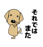 大きな文字 気づかい 犬好きさんへ 修正版（個別スタンプ：22）