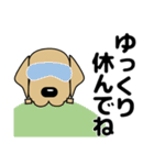 大きな文字 気づかい 犬好きさんへ 修正版（個別スタンプ：25）
