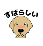 大きな文字 気づかい 犬好きさんへ 修正版（個別スタンプ：27）