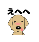 大きな文字 気づかい 犬好きさんへ 修正版（個別スタンプ：28）
