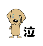 大きな文字 気づかい 犬好きさんへ 修正版（個別スタンプ：30）