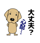 大きな文字 気づかい 犬好きさんへ 修正版（個別スタンプ：31）