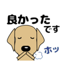 大きな文字 気づかい 犬好きさんへ 修正版（個別スタンプ：33）