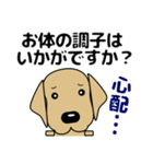 大きな文字 気づかい 犬好きさんへ 修正版（個別スタンプ：34）