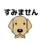 大きな文字 気づかい 犬好きさんへ 修正版（個別スタンプ：35）