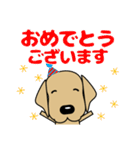 大きな文字 気づかい 犬好きさんへ 修正版（個別スタンプ：36）