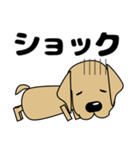 大きな文字 気づかい 犬好きさんへ 修正版（個別スタンプ：37）