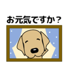 大きな文字 気づかい 犬好きさんへ 修正版（個別スタンプ：38）
