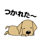 大きな文字 気づかい 犬好きさんへ 修正版（個別スタンプ：39）