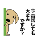 大きな文字 気づかい 犬好きさんへ 修正版（個別スタンプ：40）