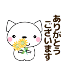 優しい気づかい❤かわいい 猫 夏編 修正版（個別スタンプ：12）