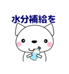優しい気づかい❤かわいい 猫 夏編 修正版（個別スタンプ：30）
