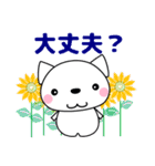 優しい気づかい❤かわいい 猫 夏編 修正版（個別スタンプ：34）